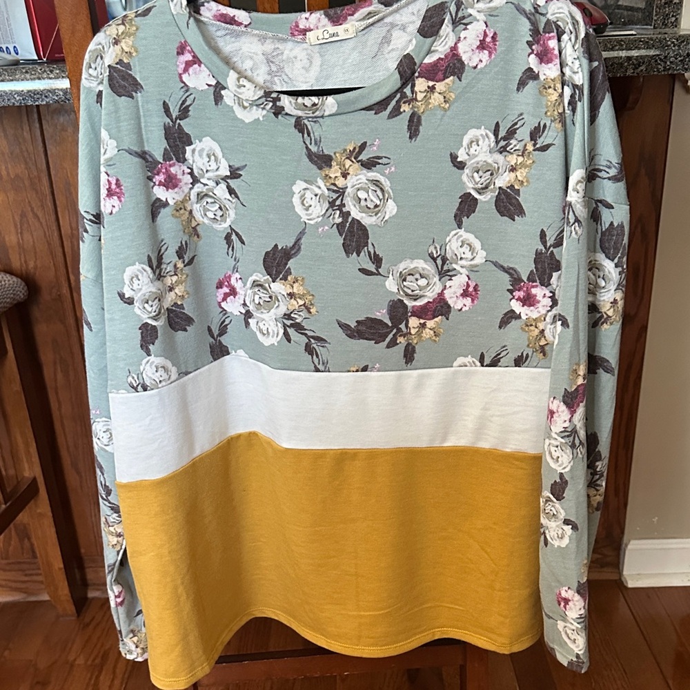 Size 1X E Luna Floral Long Sleeve Top with Color Block